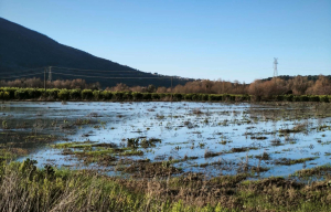 Ήπειρος: Υπερχείλισε ο ποταμός Καλαμάς - Μηχανήματα απομακρύνουν φερτά υλικά