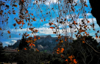 Καιρός: Έρχεται κρύο τις επόμενες ημέρες - Κίτρινη προειδοποίηση σε αυτές τις 2 περιοχές