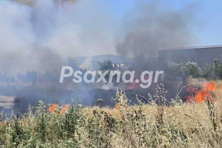 Φωτιά στη Ριτσώνα, κοντά στο εργοστάσιο Παπουτσάνης