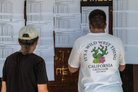 Βάσεις 2025: Ανακοινώνονται αύριο Παρασκευή - Ποιες σχολές πέφτουν και ποιες ανεβαίνουν