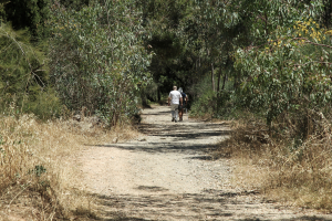 Συνεχίζεται το θρίλερ στις Σέρρες: Δεν ήταν του αγνοούμενου διοικητή της Πυροσβεστικής το όχημα που βρέθηκε