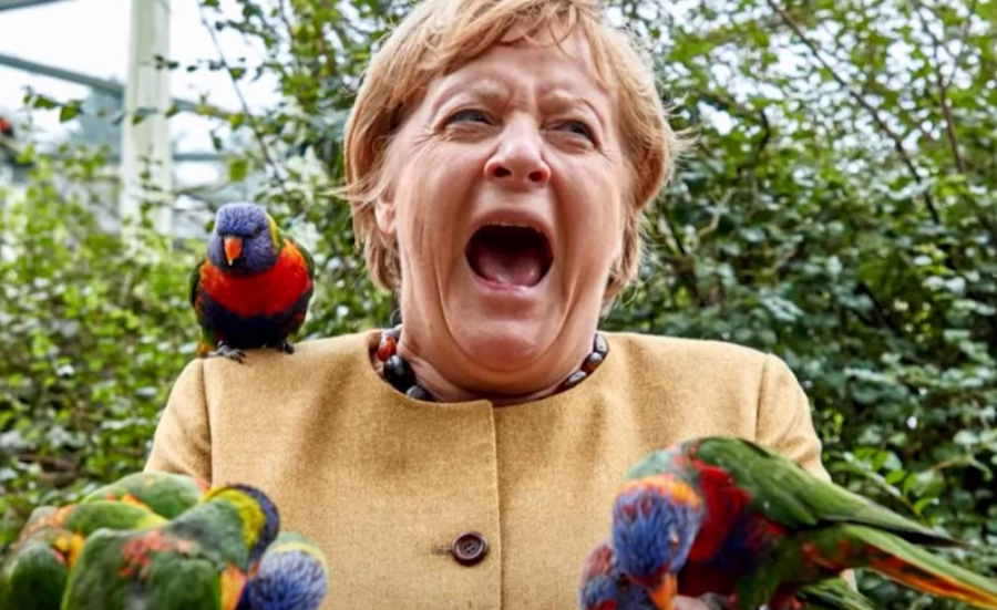 Ενθουσιασμένος παπαγάλος αποχαιρέτησε τη Μέρκελ με ένα δάγκωμα (βίντεο)