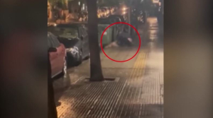 Κυψέλη: Στο ψυχιατρείο μετά την απολογία του ο 47χρονος που μαχαίρωσε το σκύλο του