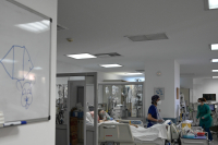 Καθησυχάζει ο Μαγιορκίνης: Ο αυξημένος αριθμός κρουσμάτων δεν θα προκαλέσει χειμερινό «κύμα»