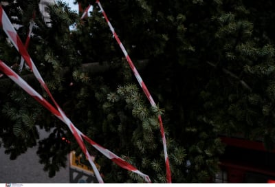 Σύνδρομο του Χριστουγεννιάτικου Δέντρου: Μήπως οι γιορτές σας... αρρωσταίνουν;