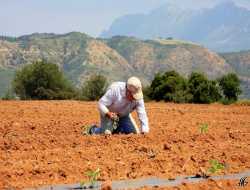 Υφυπ.Εργασίας :Οι αγρότες στα βαρέα ανθυγιεινά