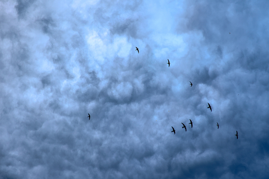 Επικίνδυνα φαινόμενα για 48 ώρες: Οι μετεωρολόγοι για την κακοκαιρία, τι περιμένουν στην Αττική