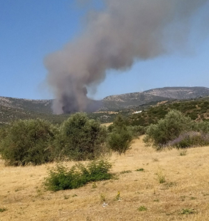 Φωτιά τώρα στην Αγία Ελένη Τροιζήνας - Διπλό 112