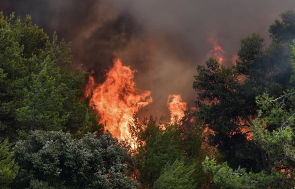 Συλλήψεις και πρόστιμα για φωτιές σε Κάρυστο και Κρήτη