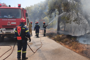 Φωτιά στον Κουβαρά: Εκκένωση της Ζ΄ Παιδικής Κατασκήνωσης Κερατέας για προληπτικούς λόγους