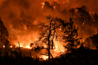 Φωτιές: Αυτές οι περιοχές κηρύχθηκαν σε κατάσταση έκτακτης ανάγκης