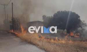 Νέα μεγάλη φωτιά τώρα στην Εύβοια: Καίει δίπλα στα σπίτια
