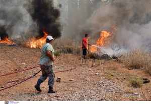 Νέα φωτιά τώρα στην Πάτρα, προληπτική εκκένωση κατοικιών και επιχειρήσεων στον Προφήτη Ηλία