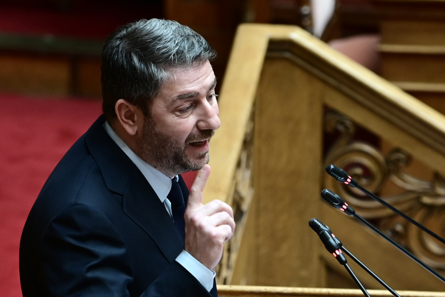 Ανδρουλάκης για μέτρα στήριξης: Το παυσίπονο δεν είναι η θεραπεία