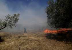 Μυτιλήνη: Πυρκαγιά κοντά στο hotspot της Μόριας 