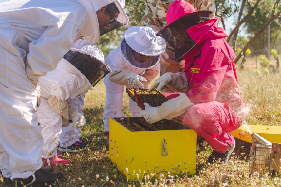 Η εκπαίδευση αλλιώς: Ένα εκπαιδευτικό ταξίδι από την τάξη... στον κόσμο