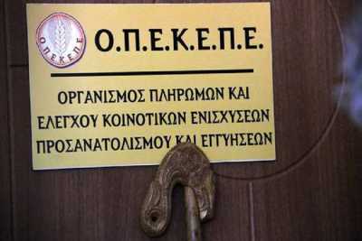 Πότε χορηγεί βεβαίωση εγγραφής ΜΑΑΕ ο ΟΠΕΚΕΠΕ χωρίς υποβολή ΟΣΔΕ