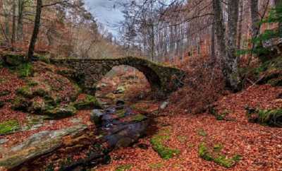 ΥΠΑΠΕΝ: Διασφαλίζεται η λειτουργία Φορέων Διαχείρισης Προστατευόμενων Περιοχών