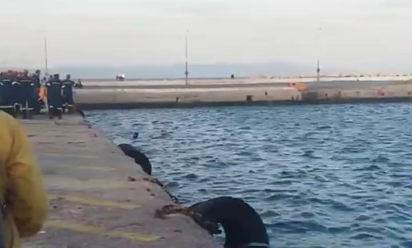 Λιμάνι Μυτιλήνης: Αυτοκίνητο έπεσε στη θάλασσα, νεκρός ο οδηγός