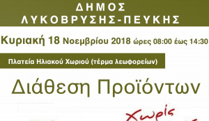 photo: Δήμος Λυκόβρυσης