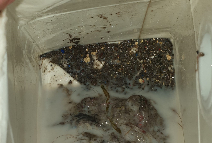 Καταγγελία «σοκ» για γάλα που μοιράζεται στα σχολεία: Μητέρα μαθητή υποστηρίζει ότι βρήκε τρίχες και σκουπίδια