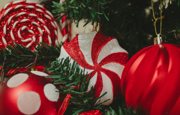 Πέντε βιβλία για τα Χριστούγεννα 2024