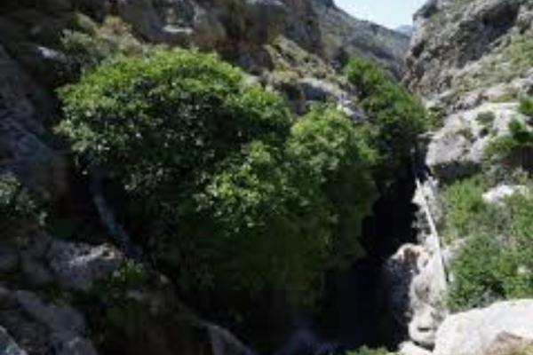 Ρέθυμνο: Εγκεφαλικά νεκρή 33χρονη Αμερικανίδα που τραυματίστηκε στο φαράγγι της Πρέβελης