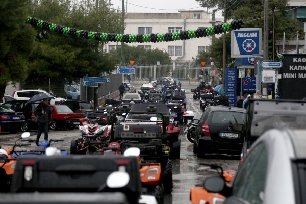 Αδιέξοδο για τις γουρούνες: Παραμένουν οι ιδιοκτήτες στο Μεταφορών