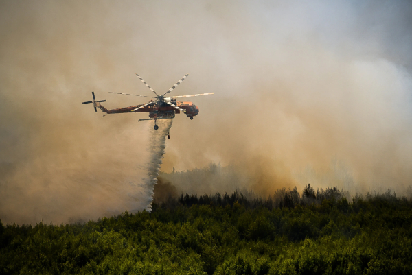Φωτιά τώρα στη Χαλκιδική: Συναγερμός στην πυροσβεστική