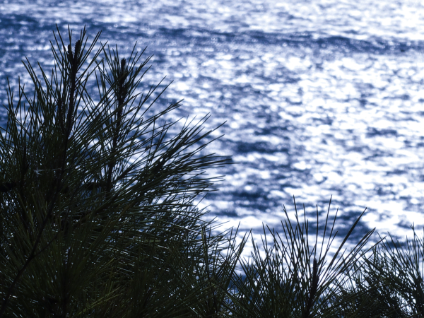 Ο καιρός σήμερα: Γενικά αίθριος, που υπάρχει πιθανότητα βροχής