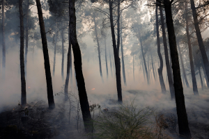 Τραγωδία στη φωτιά στη Λητή Θεσσαλονίκης - Εντοπίστηκε δεύτερη σορός