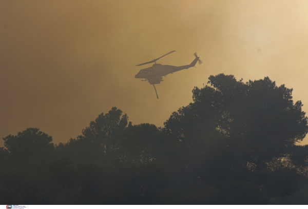 Φωτιά στον Έβρο: Καλύτερη εικόνα παρουσιάζουν τα πύρινα μέτωπα στη Ροδόπη