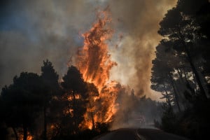 Φωτιά στην Εύβοια: Ο δείκτης επικινδυνότητας της πυρκαγιάς
