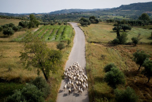 photo: Eurokinissi