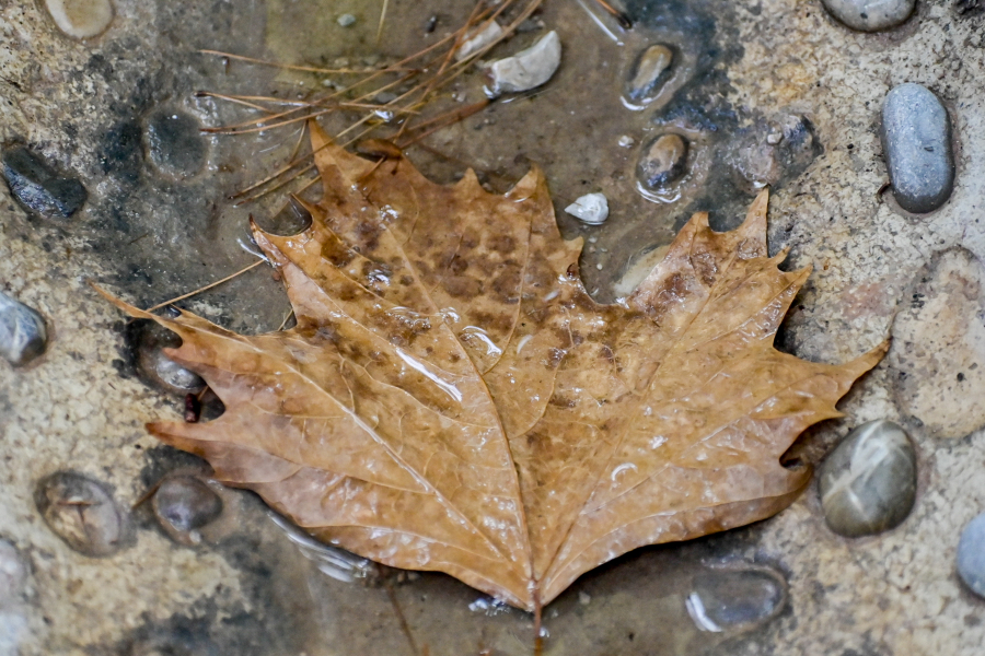 Νέα προειδοποίηση Κολυδά για την κακοκαιρία: Οι περιοχές που ανεβαίνουν τα όρια επικινδυνότητας
