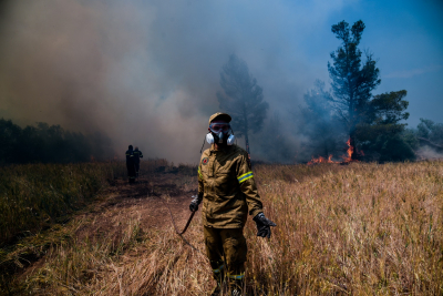 Υπό μερικό έλεγχο η πυρκαγιά σε δασική έκταση στην Βραυρώνα Αττικής