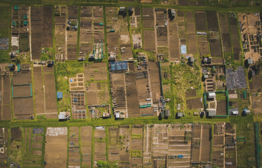 Καθαρισμός οικοπέδων 2025: Ποιοι κινδυνεύουν με πρόστιμο έως 54.000 ευρώ