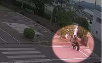 Βίντεο από τη στιγμή επίθεσης αρκούδας σε περαστικό στην Ιαπωνία