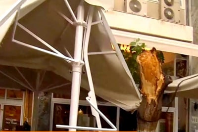 Είχαν «Άγιο» Πάιατ - Μενέντεζ: Έπεσε δέντρο στο εστιατόριο που δειπνούσαν στο κέντρο της Αθήνας (εικόνες)