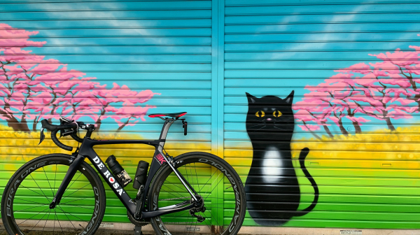 Σαββατοκύριακο χωρίς πορτοφόλι: Γάτες, ποδήλατα και ομπρέλες