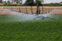 Ημερομηνία - ορόσημο η 4η Νοεμβρίου για τις πληρωμές του ΟΠΕΚΕΠΕ