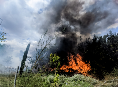 Meteo: Ανησυχητική αύξηση των δασικών πυρκαγιών το πρώτο τρίμηνο του 2022