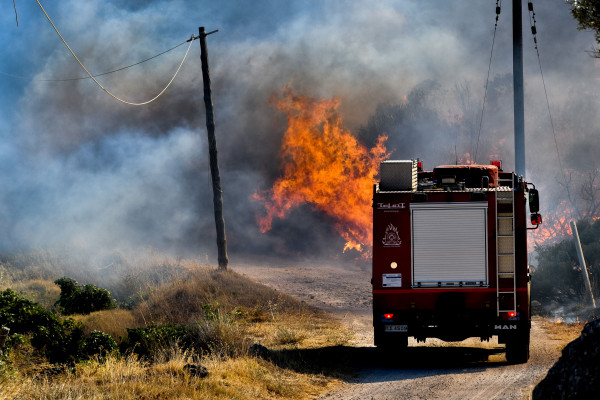 Φωτιές στην Ανατολική Αττική: Αιτήσεις για αποζημιώσεις -Τι πρέπει να κάνουν οι πληγέντες