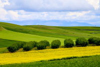 Πρόεδρος ΓΕΩΤΕΕ: «Γνωστό εδώ και 5 χρόνια το σκάνδαλο ΟΠΕΚΕΠΕ, πού έχει ευθύνη και η ΑΑΔΕ»