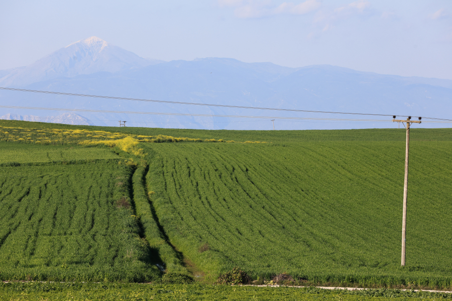 Second Dossier on Greek Agricultural Subsidy Scandal to Implicate Dozens of MPs