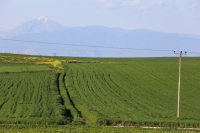 Second Dossier on Greek Agricultural Subsidy Scandal to Implicate Dozens of MPs