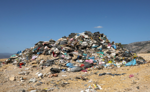 Πηγή φωτό: ΙΝΤΙΜΕ