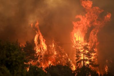 Φωτιά Εύβοια: Πύρινος εφιάλτης γύρω από την Ιστιαία - Προς Πευκί κινούνται οι φλόγες (εικόνες, βίντεο)