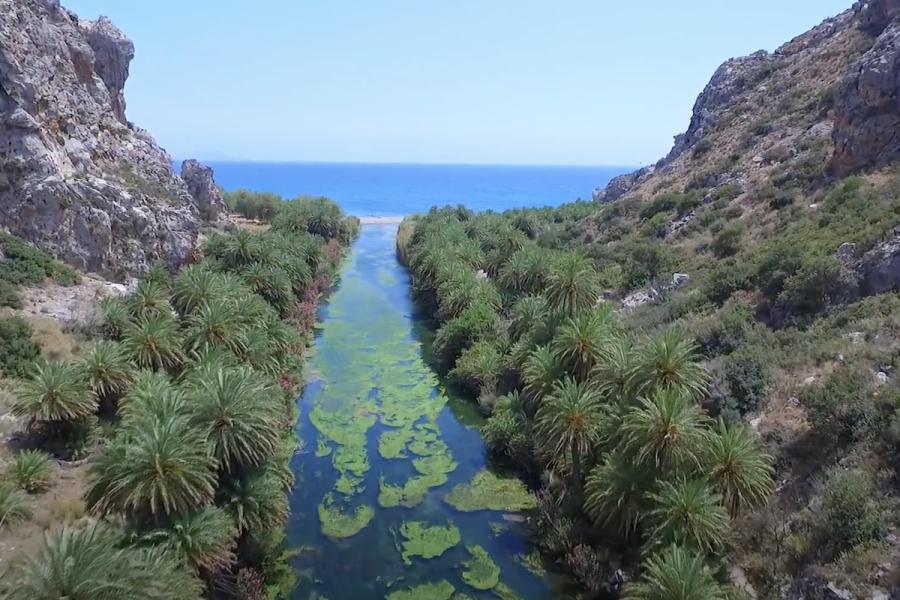 Η τροπική παραλία της Ελλάδας δίπλα σε ένα φοινικόδασος και έναν καταρράκτη