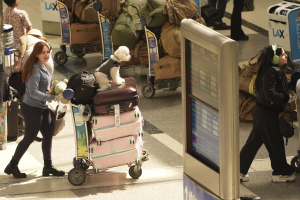 Ιστορικό social media, τηλέφωνα, στοιχεία συγγενών: Τι ζητά ο Τραμπ για την είσοδο στις ΗΠΑ